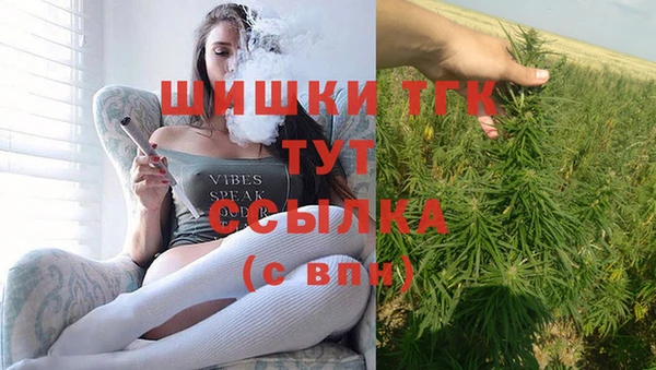 соль ск Алексин