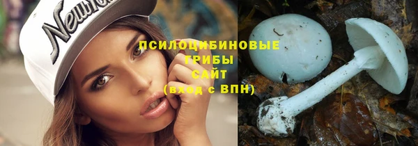 гидра Переславль-Залесский