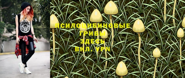 соль ск Алексин