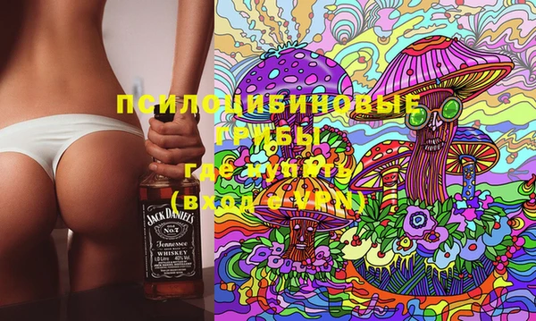 МДПВ Алзамай