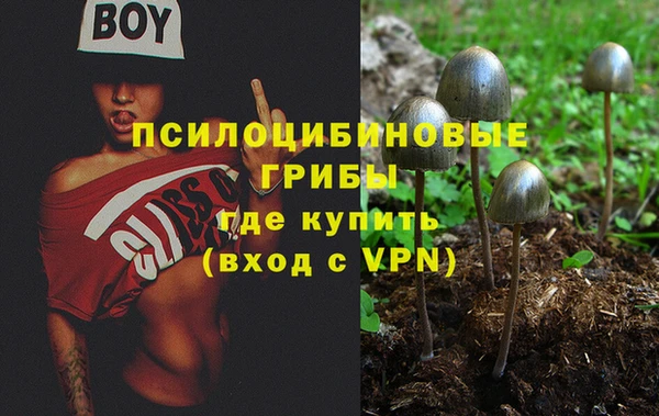 МДПВ Алзамай