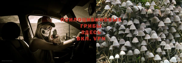 соль ск Алексин