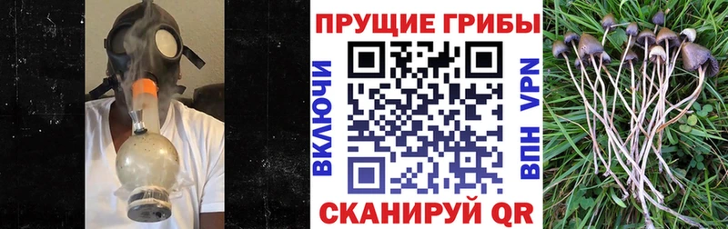 ОМГ ОМГ сайт  Дигора  Псилоцибиновые грибы мухоморы 