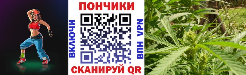 Конопля OG Kush  Дигора 